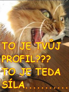 w9ZVRcLIzE.jpg